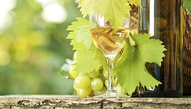 Ein Glas Weißwein zwischen Weinlaub und Trauben